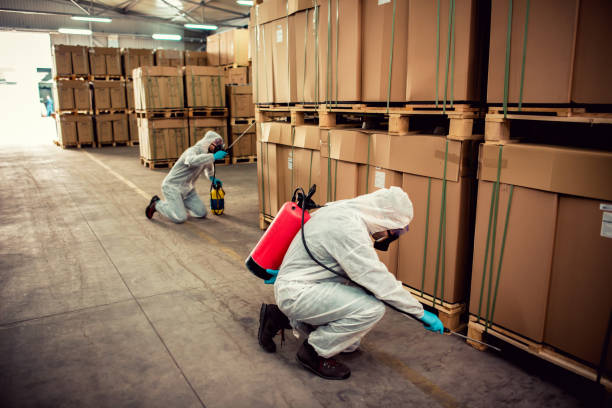 Best Best Pest Control Companies  in Adrian, MO