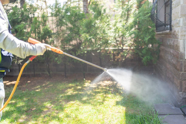 Best Mosquito Control Services  in Adrian, MO