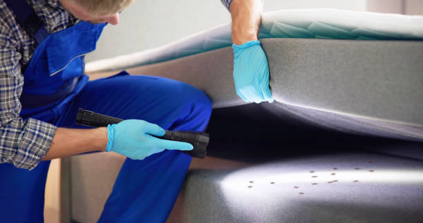 Best Pest Prevention Services  in Adrian, MO
