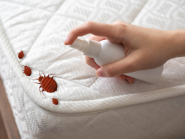 Best Pest Control Near Me  in Adrian, MO