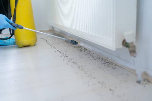 Best Mosquito Control Services  in Adrian, MO